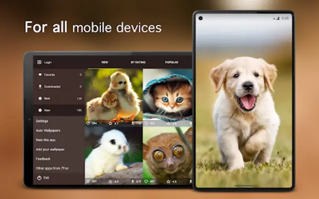 Cute Animal Wallpapers 4K android App screenshot 0