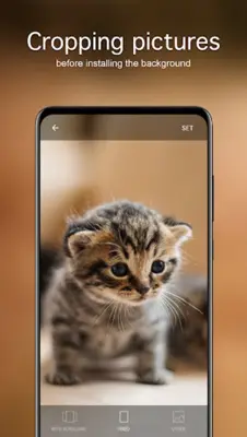 Cute Animal Wallpapers 4K android App screenshot 2