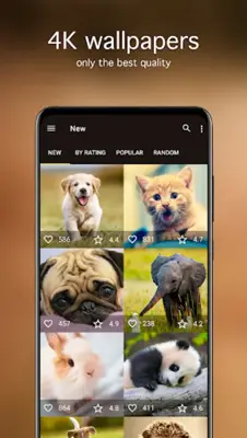 Cute Animal Wallpapers 4K android App screenshot 4